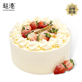 红颜淡雪 生日蛋糕