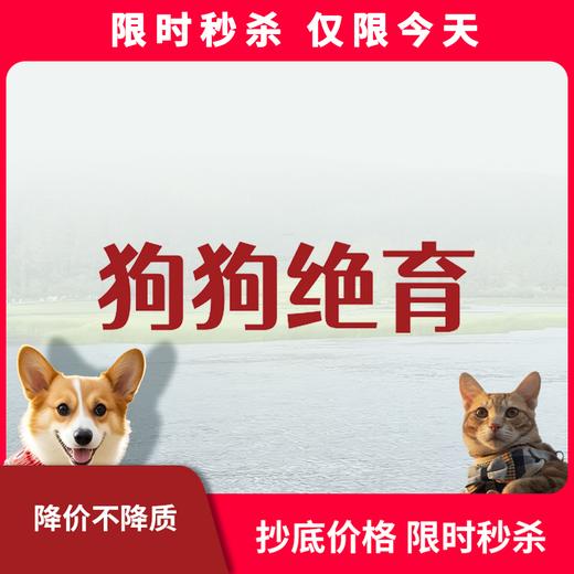 限时秒杀丨狗狗绝育套餐 商品图0