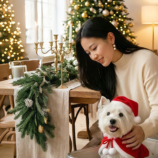 圣诞私享 星愿定格 商品图0