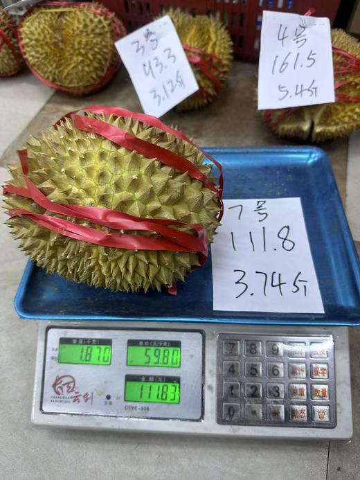 金枕榴莲一个 商品图6