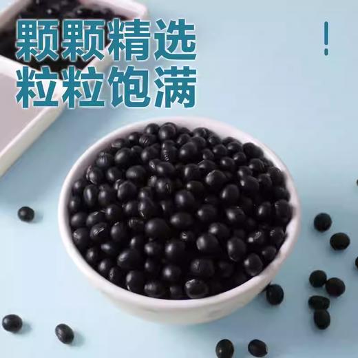 360ge谷黑豆 商品图1