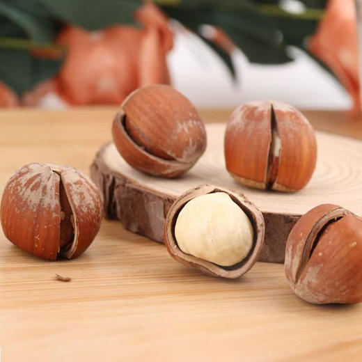 【陕西】蒲臻善榛子果250g 商品图2