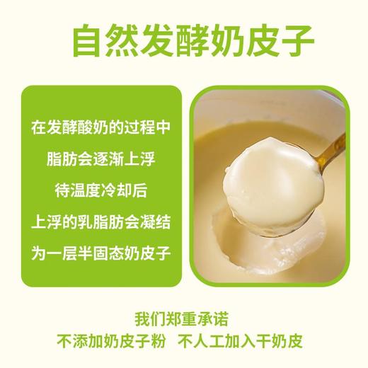 紫光园 奶皮子酸奶原味120g/杯 商品图4