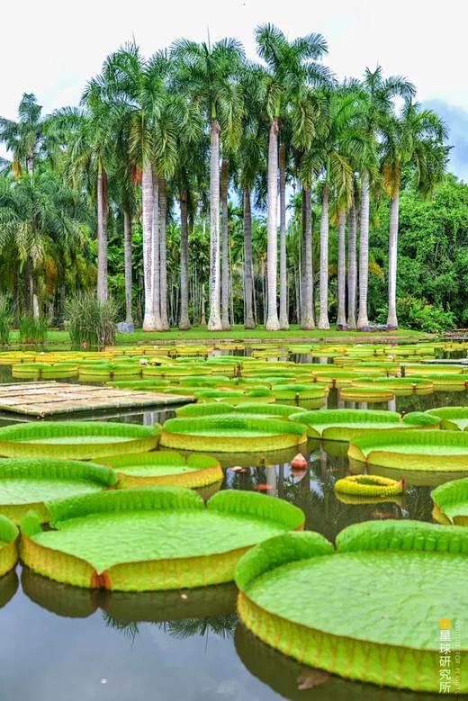 彩云之南西双版纳亲子成长研学营读者 商品图2