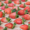 【生态草莓】香甜可口的生态草莓 品种多口味可拼  颗颗精选大小随机/顺丰空运包邮 商品缩略图2