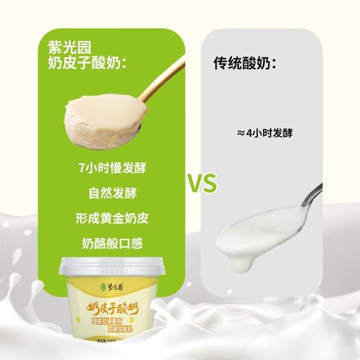 紫光园 奶皮子酸奶原味120g/杯 商品图2