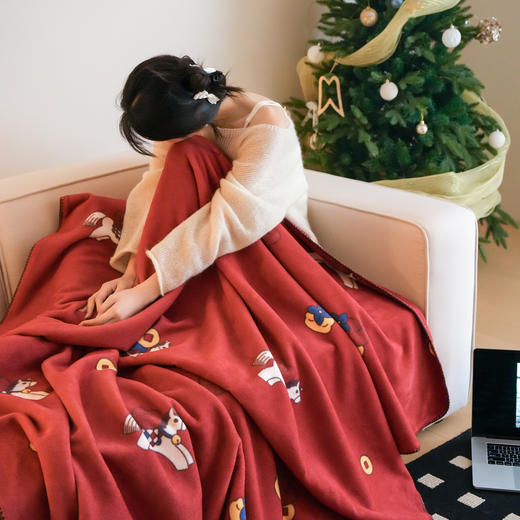 【换季出清】自然醒秋冬仿羊毛绒毛毯-花园小马系列MT 商品图2