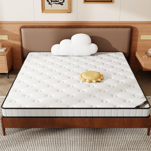 自然醒3E椰棕床垫-Z02 SA 商品图4