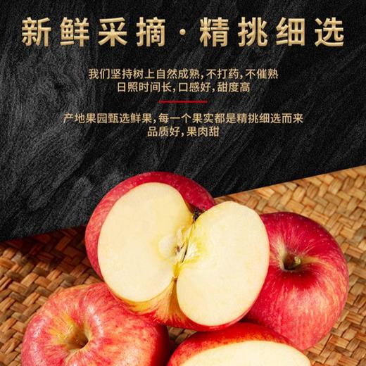 力邦6号红苹果75#/ 2.5kg 商品图1