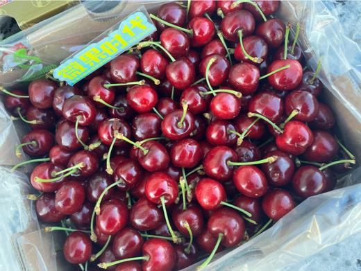 甜樱花车厘子一箱 商品图1