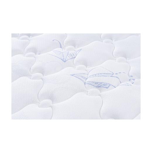 成长π 22 商品图3