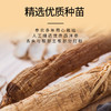 西洋参粉 3g*20袋/盒 康美药业加拿大进口西洋参药食同源粉剂粉质细腻 可搭配三七粉丹参粉 商品缩略图2