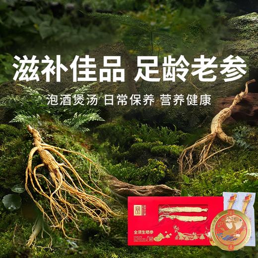 【长白山人参】4-5年全须生晒参 天然滋补圣品 营养丰富（2.10-2.24停发） 商品图0
