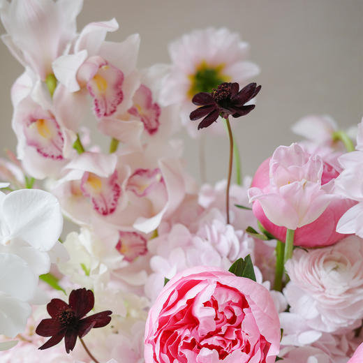 山岚甜樱 Hazed Bloom 商品图5