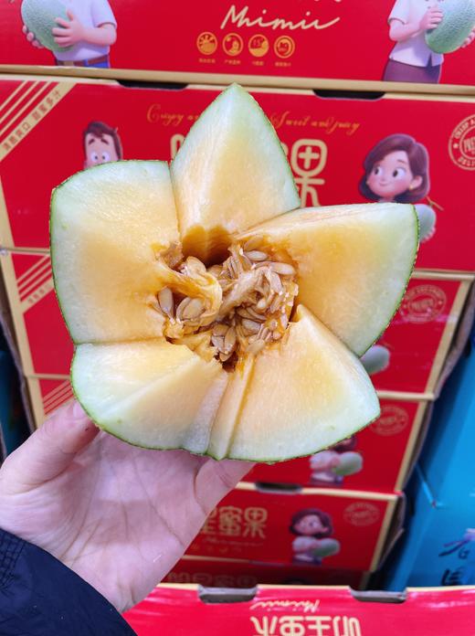 明星蜜瓜一箱 商品图5