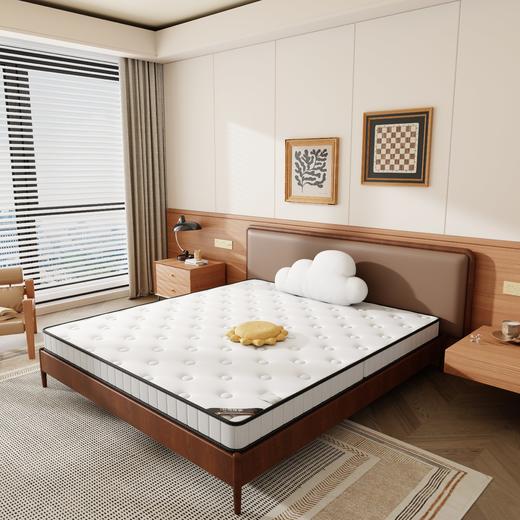 自然醒3E椰棕床垫-Z02 SA 商品图3