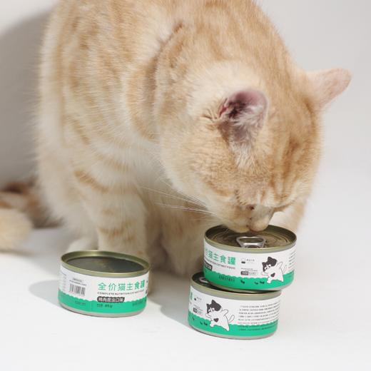 昆虫蛋白猫主食罐头湿粮| 公平贸易*Canned insect protein cat staple food Fair Trade 商品图4
