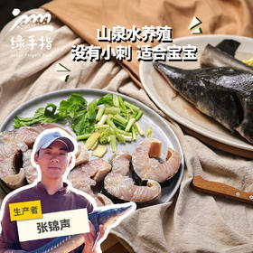 生态鲟龙鱼/鲟鱼（切块；鱼扒买三送一）| 绿家自产* Eco- Sturgeon dragon fish (cut into pieces) | Self-production