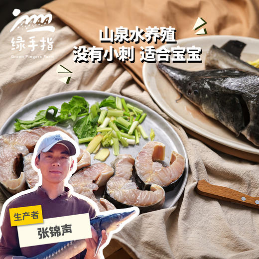 生态鲟龙鱼/鲟鱼（切块；鱼扒买三送一）| 绿家自产* Eco- Sturgeon dragon fish (cut into pieces) | Self-production 商品图0
