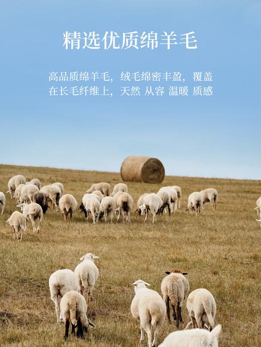 臣禾	【花纱拉毛毛衫】100%绵羊毛 圆领落肩袖慵懒毛衣针织衫	JZ254090775 商品图8