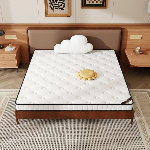 自然醒3E椰棕床垫-Z02 SA 商品图7