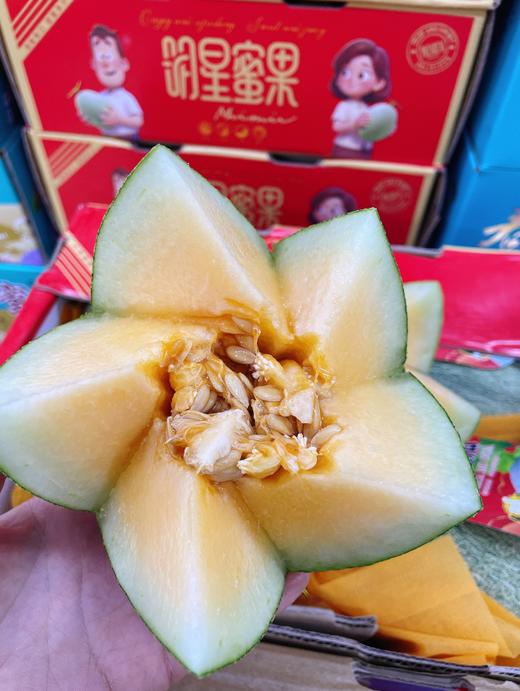 明星蜜瓜一箱 商品图2
