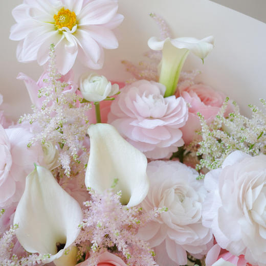 浅冬暖意 Winter's Embrace 商品图2