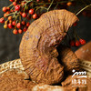 有机灵芝干 | 绿家自产 * Organic Red Ganoderma Lucidum | In-House Production 商品缩略图4