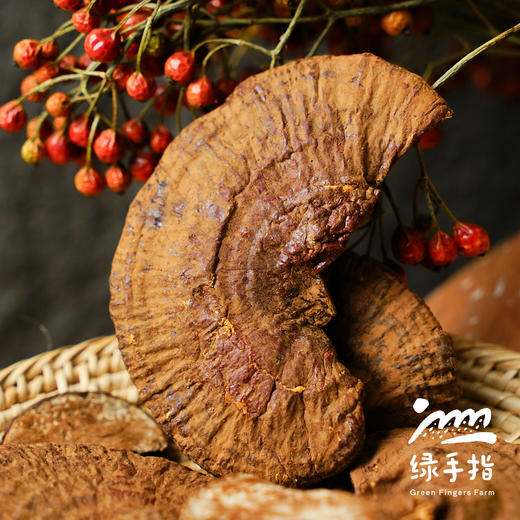 有机灵芝干 | 绿家自产 * Organic Red Ganoderma Lucidum | In-House Production 商品图4