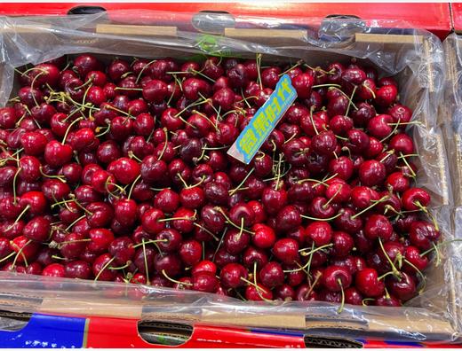 蓝P车厘子一箱（10斤装） 商品图1