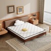 自然醒3E椰棕床垫-Z02 SA 商品缩略图6