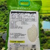 【清新供销出品】清远清新丝苗米 真空包装 商品缩略图5