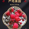 力邦6号红苹果75#/ 2.5kg 商品缩略图2