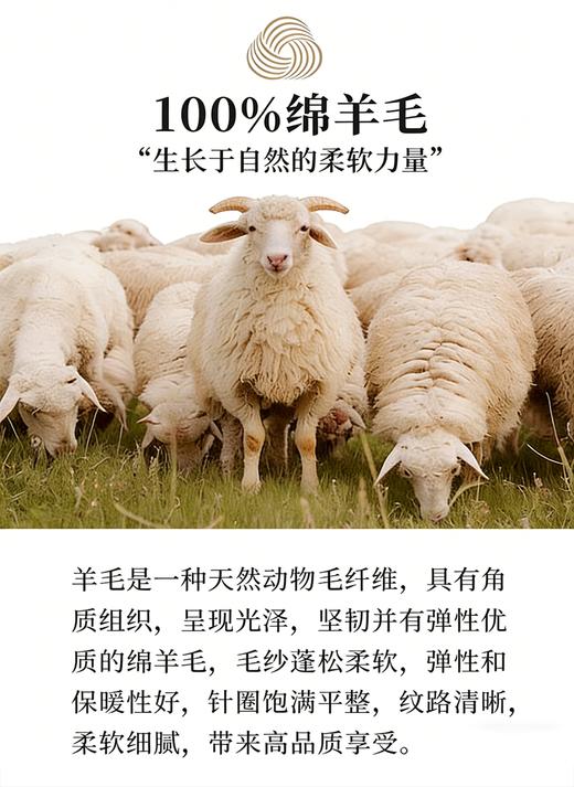 L1臣禾	【小香风羊羔毛大衣-短款】正肩拼接颗粒绒保暖外套	JZ254250375 商品图10