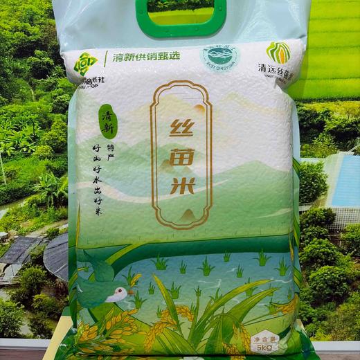 【清新供销出品】清远清新丝苗米 真空包装 商品图4