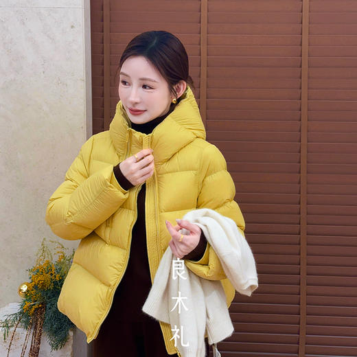 【特价不退换】【预售7天】良木礼羽绒连帽外套（1784） 商品图1