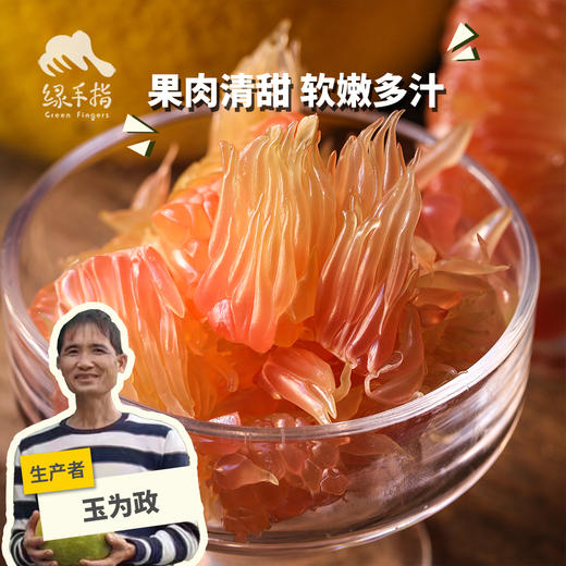 生态翡翠青柚（中通或极兔快递,买赠优惠）| 合作生产* Ecological Emerald Green Pomelo | Partner Production 商品图0