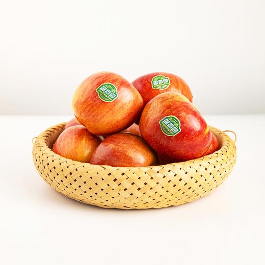 【盈香园】阿克苏红旗坡产区100冰糖心苹果3kg(优级 12粒) 商品图2