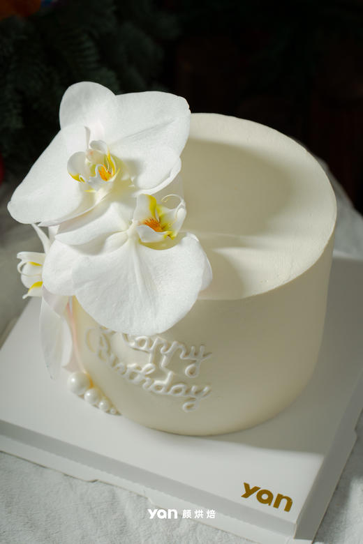 洁白的蝴蝶兰 商品图1