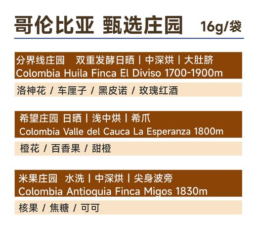 16g小袋豆｜试喝手冲咖啡豆 多风味 商品图5