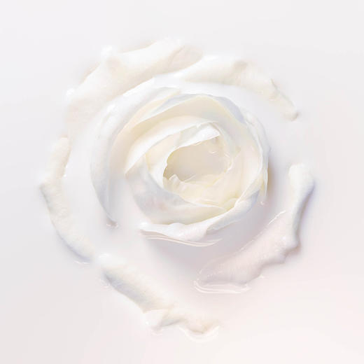 Dior迪奥 Prestige花秘瑰萃光皙 矿物遮瑕防护乳 商品图2