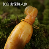 【长白山人参】4-5年全须生晒参 天然滋补圣品 营养丰富（2.10-2.24停发） 商品缩略图9