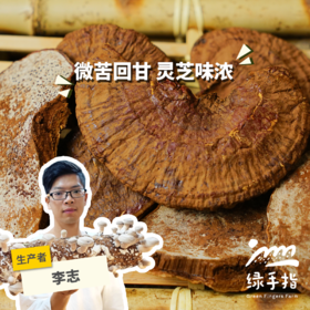 有机灵芝干 | 绿家自产 * Organic Red Ganoderma Lucidum | In-House Production