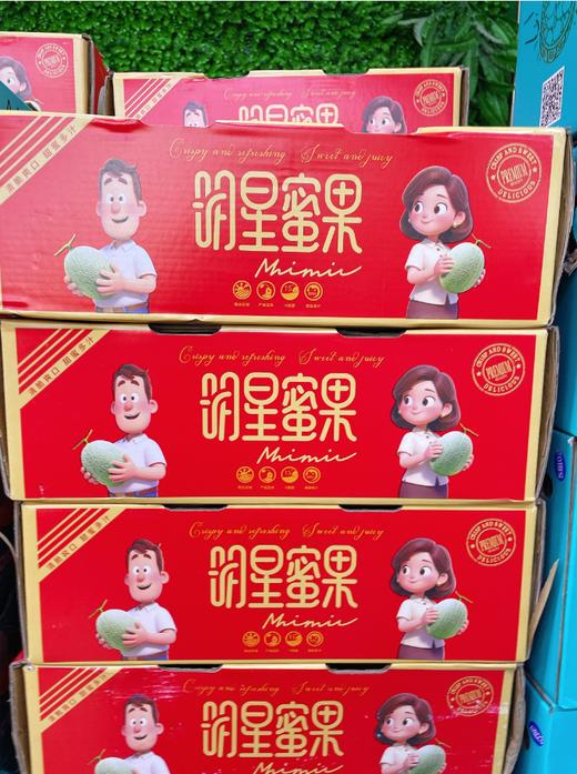 明星蜜瓜一箱 商品图0