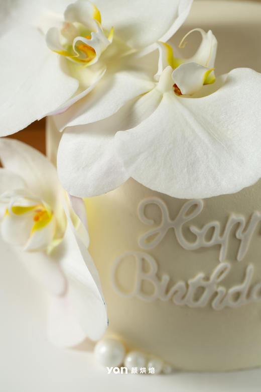 洁白的蝴蝶兰 商品图3