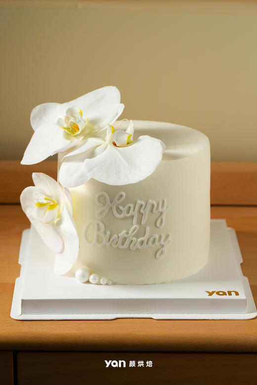 洁白的蝴蝶兰 商品图0