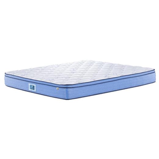 成长π 22 商品图0