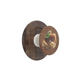 【暖暖小屋】暖暖毛栗子·MagSafe圆啪嗒 MAGSAFE磁吸手机气囊支架 Round圆啪嗒系列 棕色 灵感家