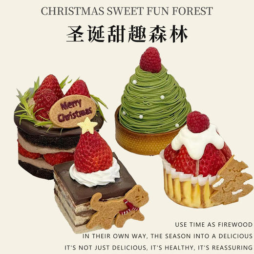 圣诞甜趣森林（一组4个）（所有绿植均不可食用！） 商品图1