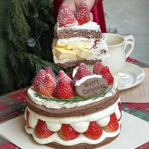 圣诞草莓巧克力布蕾 商品图3